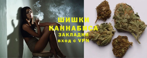 PSILOCYBIN Баксан