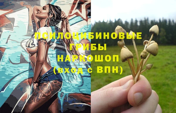 PSILOCYBIN Баксан